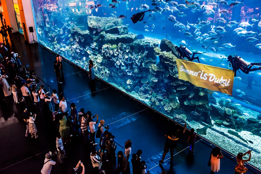 Find out prices for tours to Dubai